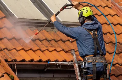 Démoussage et hydrofuge de toiture à Boisse